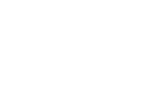 Decorative background wave for the project overview section